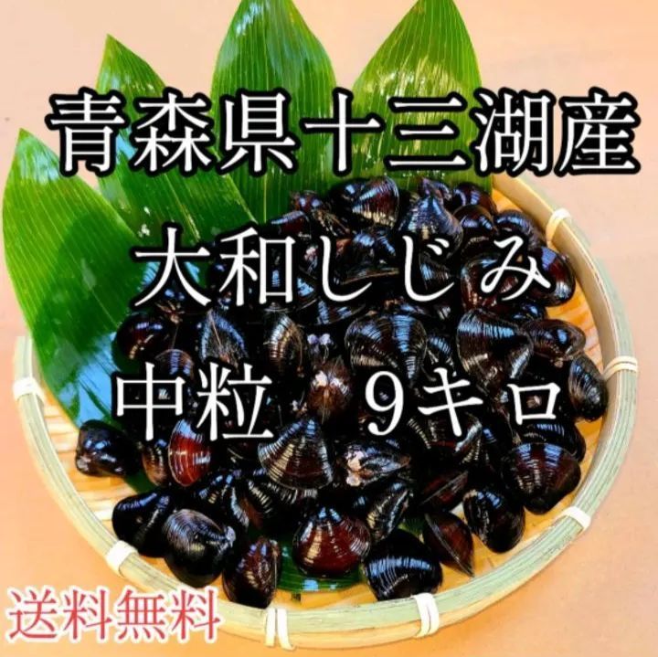 塩二郎 黒 100g 完全天日塩 高知県 田野屋塩二郎 匠の食卓 令和の虎