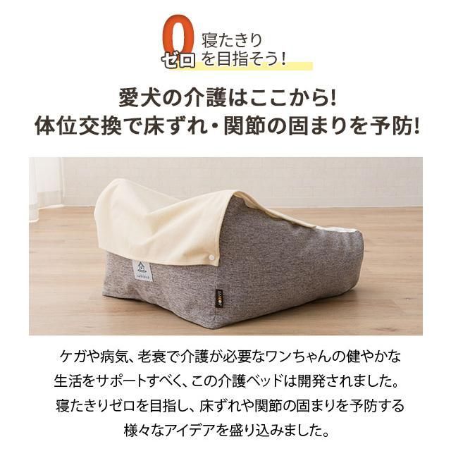 ペット 小型