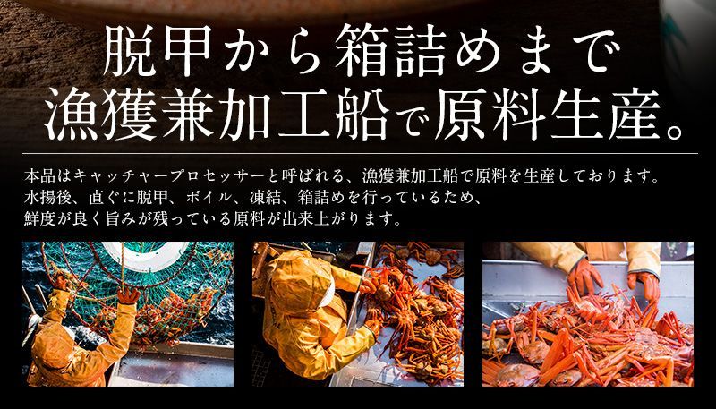 ポーション 13本×4パック