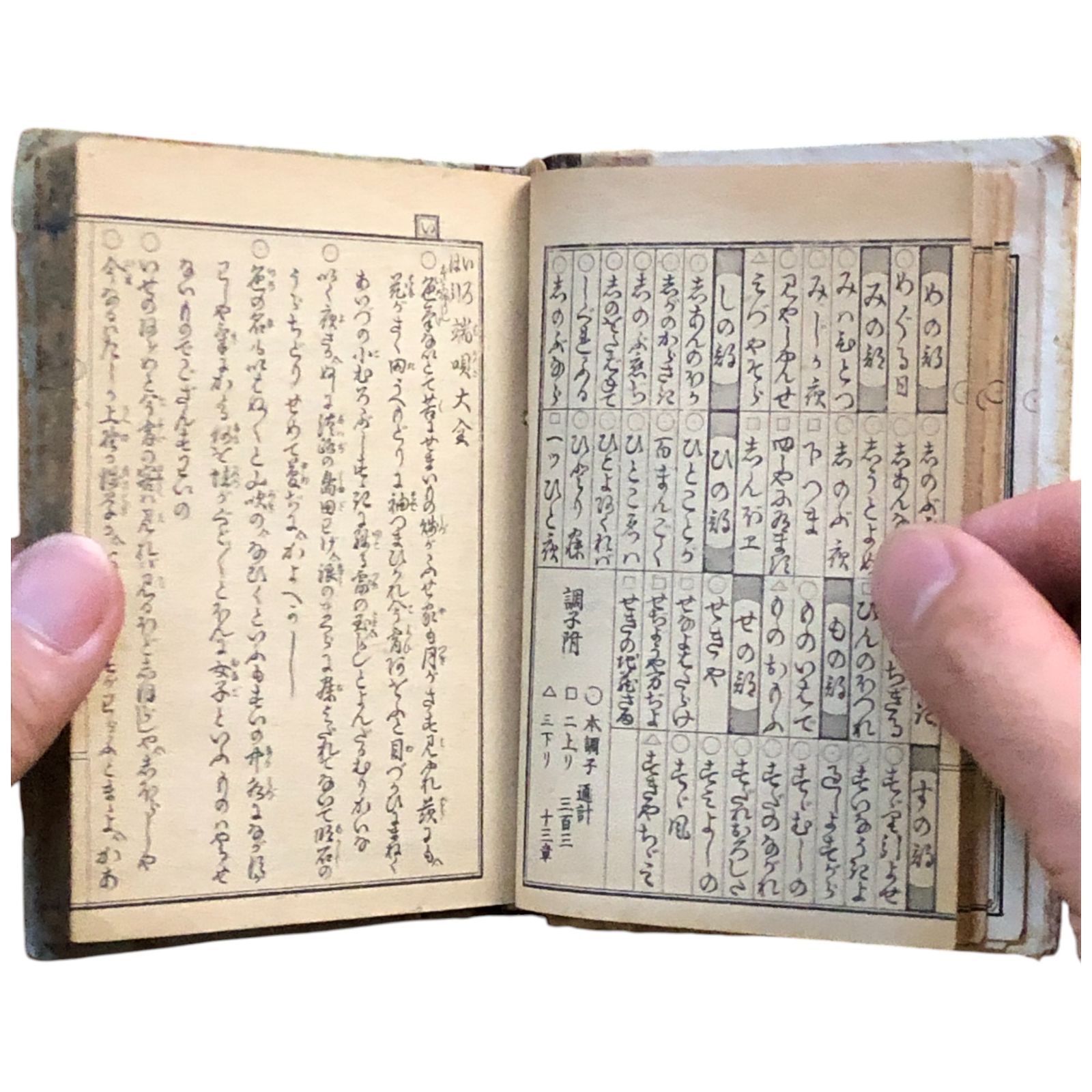 古い伊呂波辞典　大全早引節用集　寛政8 木箱付　古書 古い伊呂波辞典 大全早引節用集 寛政8 木箱付 古書