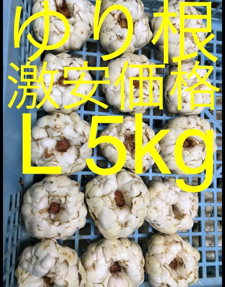 北海道産 ゆり根 L 5kg お徳用 大特価 野菜 - メルカリ 