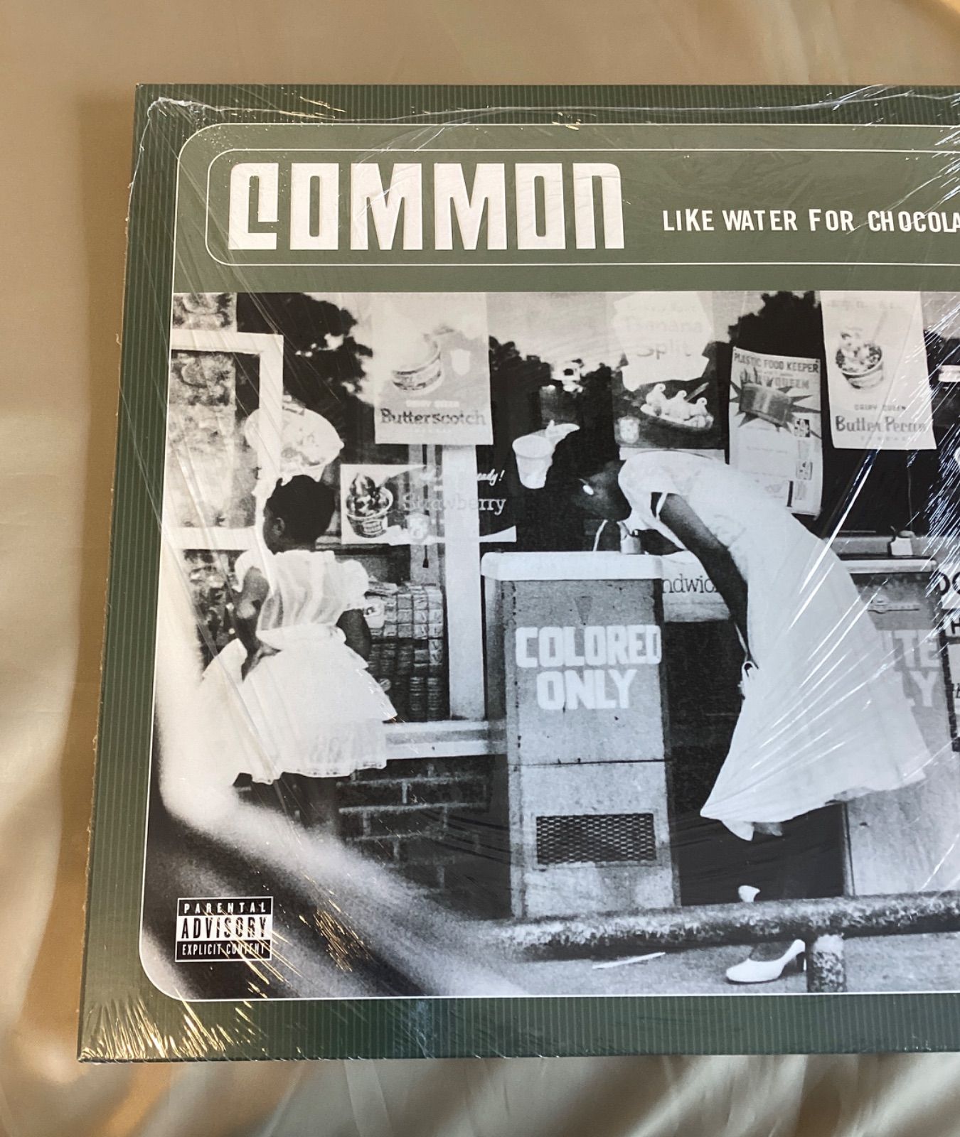 新品COMMON LIKE WATER FOR CHOCOLATE2枚組レコード 新品未開封 Common Like Water for Chocolate 2枚組 アナログ