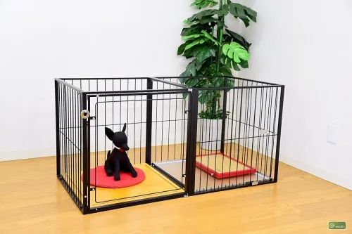 メッシュ付