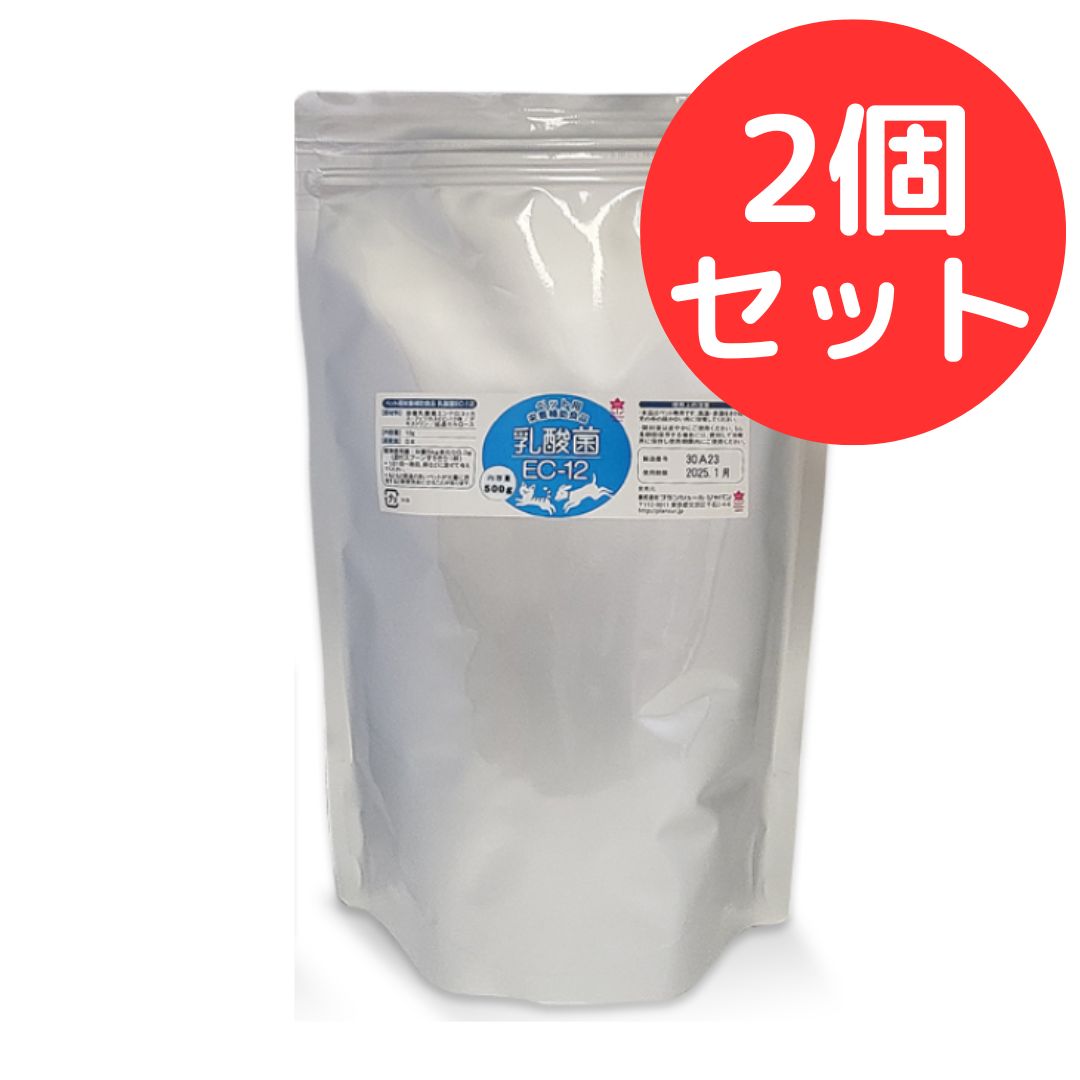 乳酸菌EC-12 500g 2個セット プランシュール