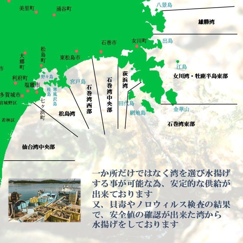 栄養