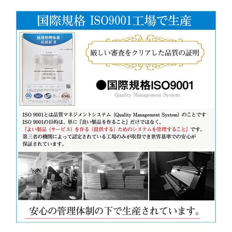 レクフィビター