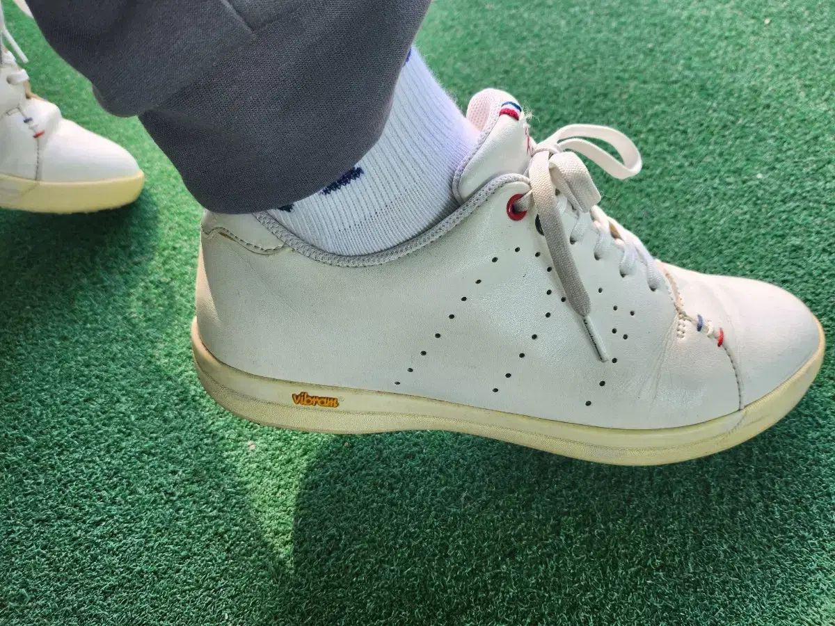 マンシングゴルフシューズ レディース 245 マンシングのゴルフシューズ