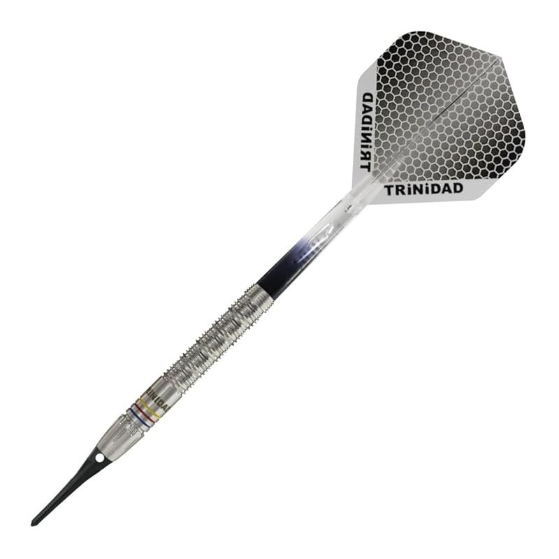 TRiNiDAD PRO Raymond Soft トリニダード プロ レイモンド ダーツ バレル ソフト 1