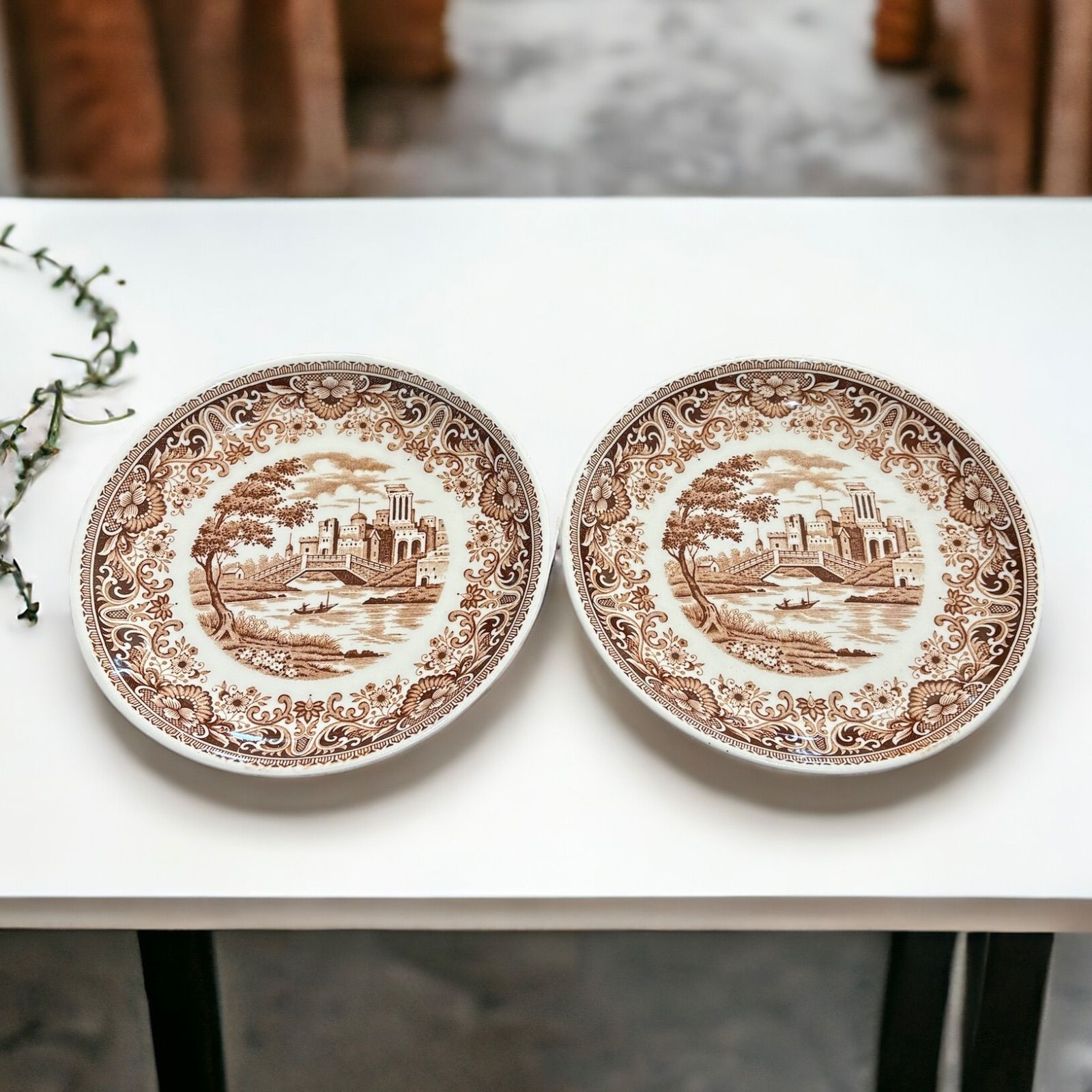 西洋 絵皿 2枚セット 丸皿 飾り皿 取り皿 陶器 古美術 インテリア 昭和