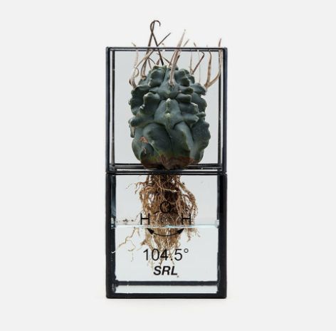 NEIGHBORHOOD SRL . HYDROPONICS POT 231MYNH-AC22