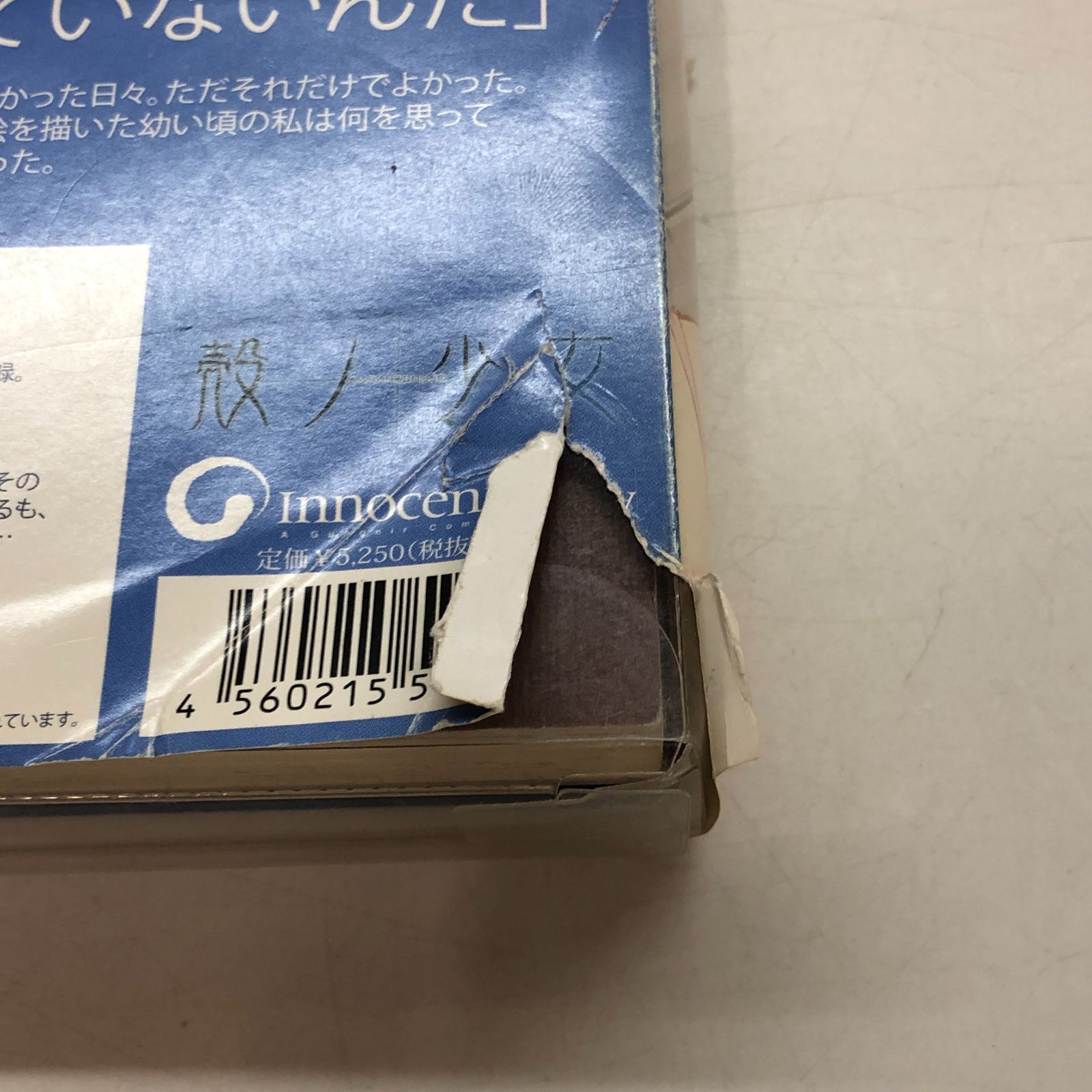 N]殻ノ少女オリジナルグッズセット ルリノユメ ルリノユメ (殻ノ少女