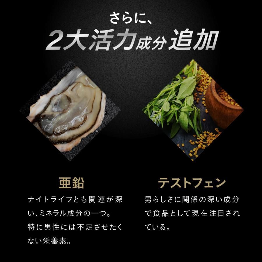 90粒入 約30日分