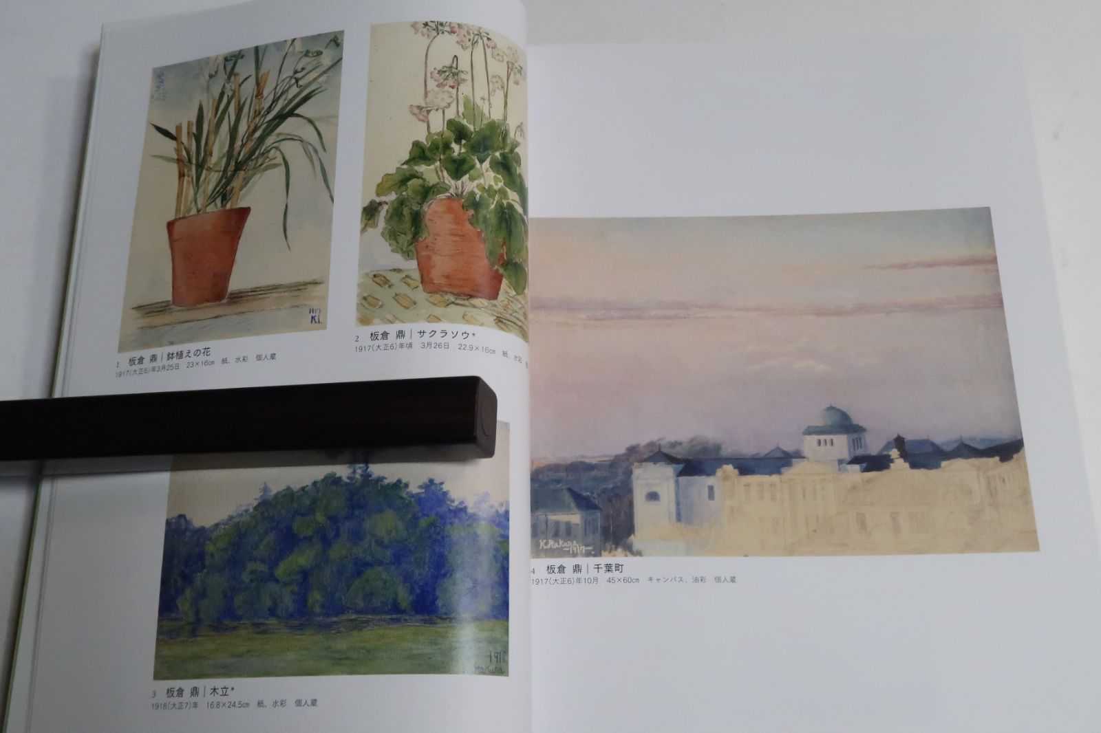 よみがえる画家・板倉鼎須美子展・Painters revived・Kanae & Sumiko