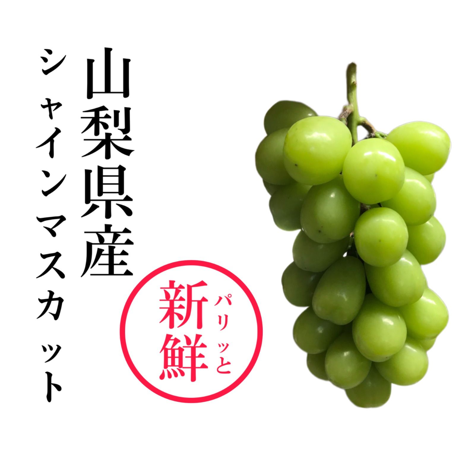 パリッと新鮮☆山梨県産シャインマスカット 3房 約1.5-1.8kg