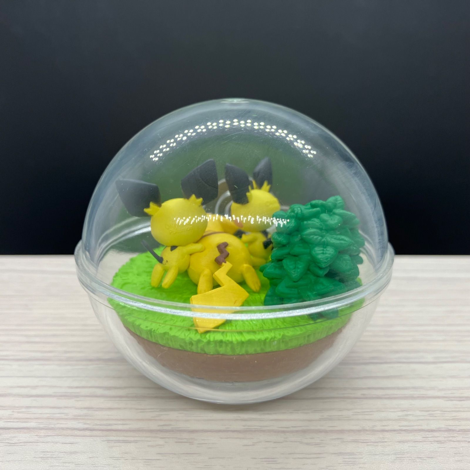 テラリウムコレクション ピチュー ピカチュウ 【A-5 ポケモン