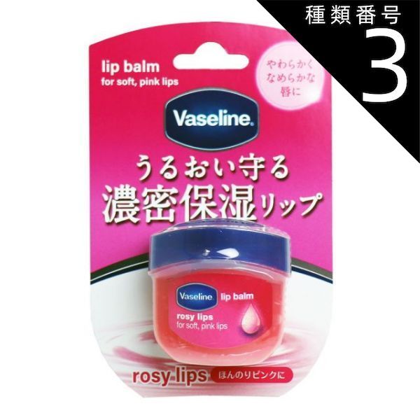 オトナのお勉強、ハジめます。 2巻 白湯 サイン本 【公式通販】
