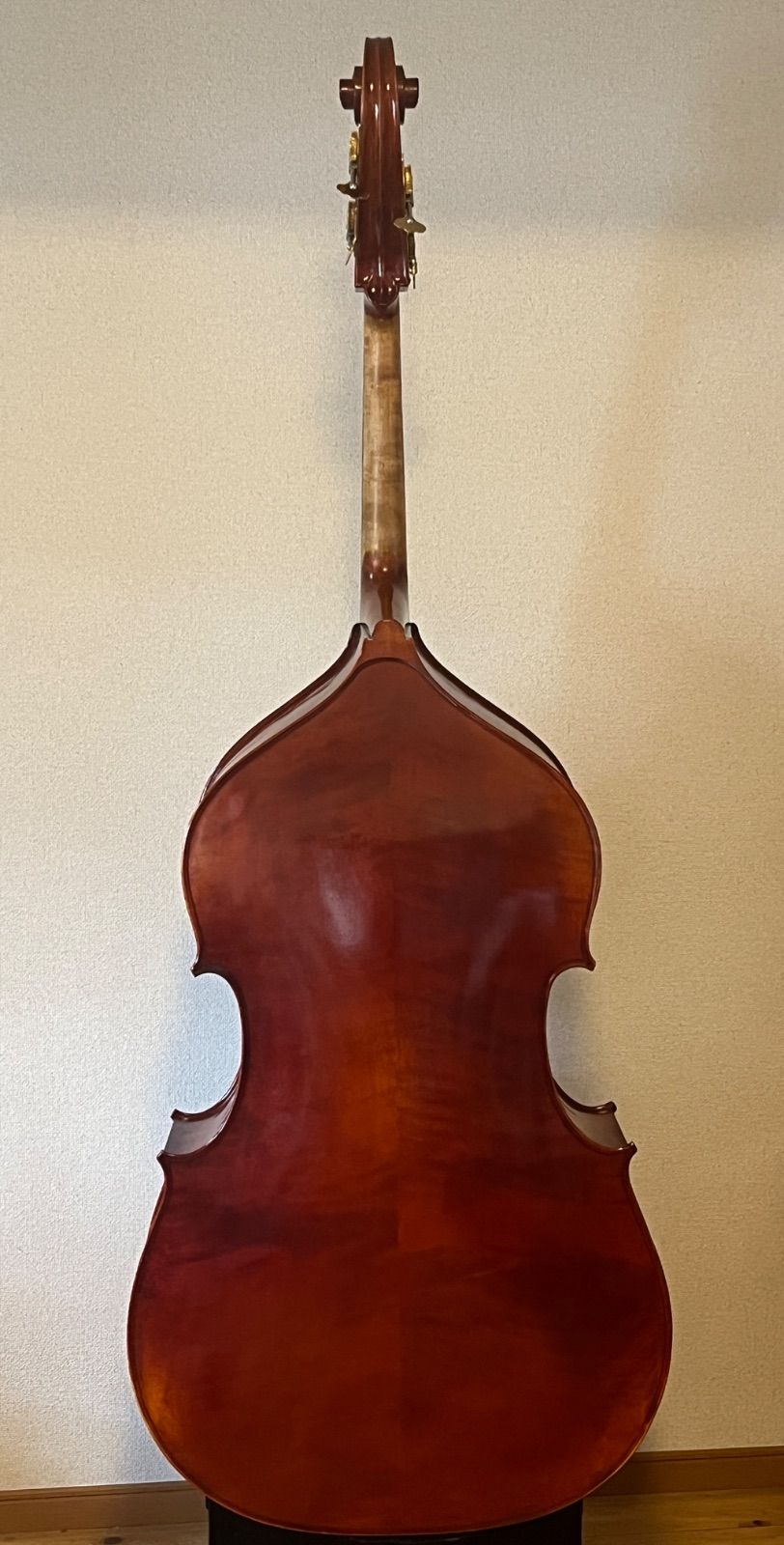 N-ENDPINパフォーマンスモデル チェロ　10ミリ N-ENDPINパフォーマンスモデル チェロ 10ミリ