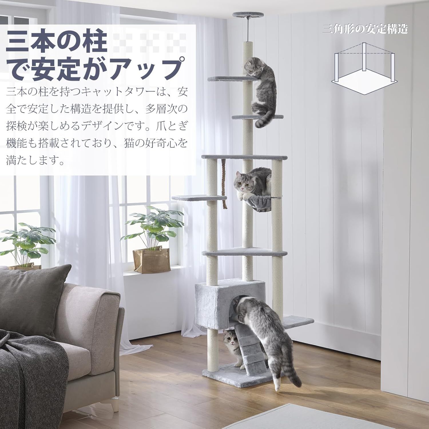 多頭飼い 運動不足