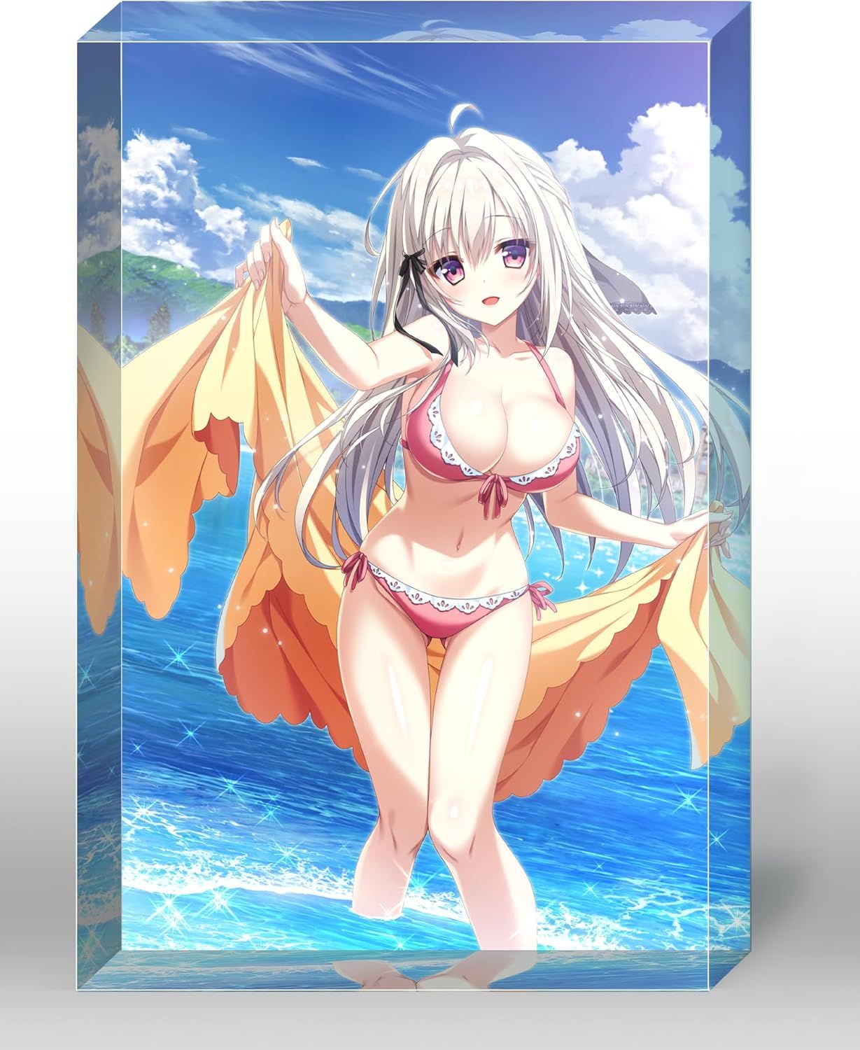 版