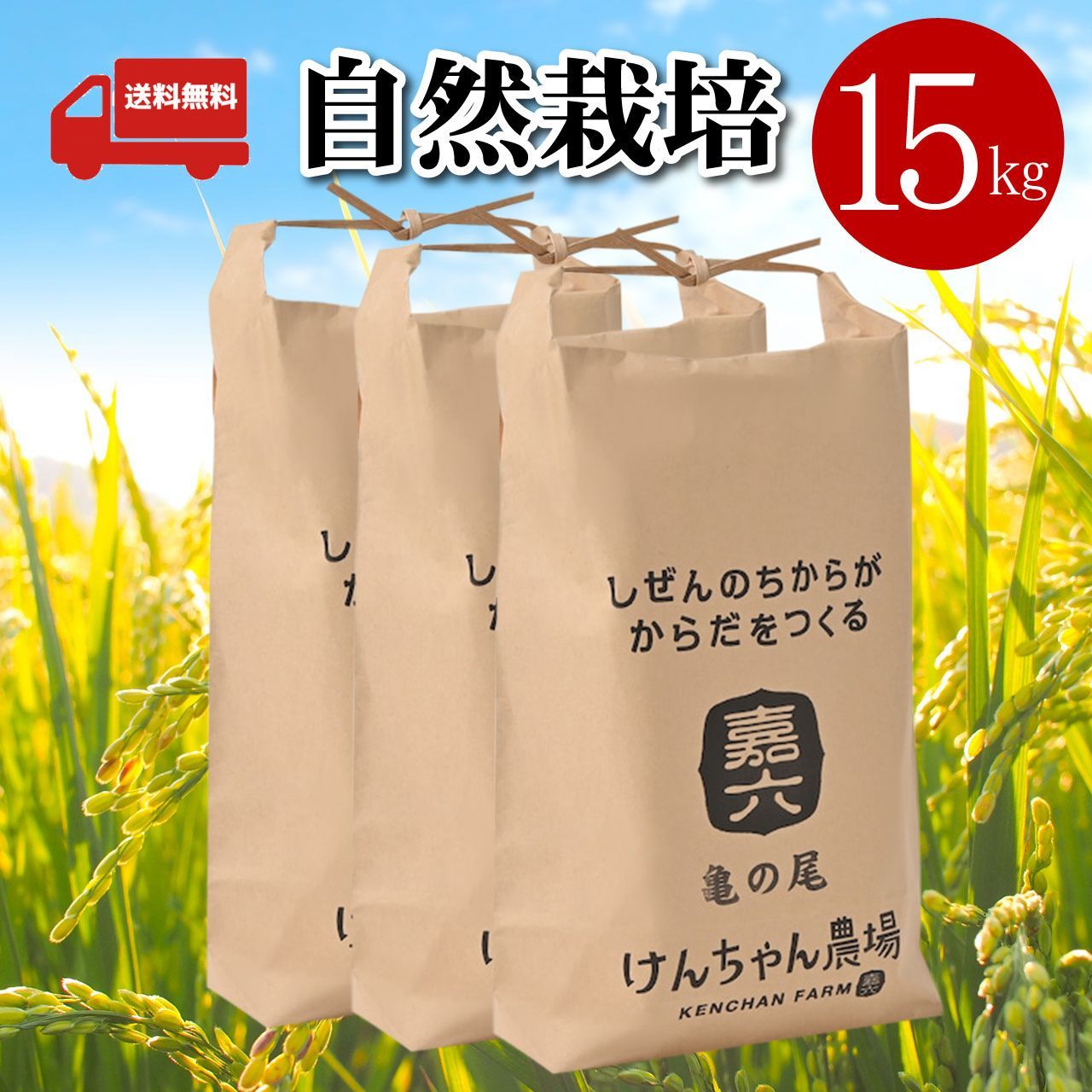 kenchan様専用 白米10kg - 米