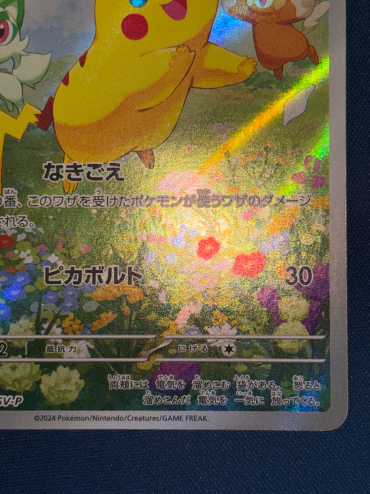 ピカチュウ夏PROMO 　他二枚 ピカチュウ夏PROMO 他二枚