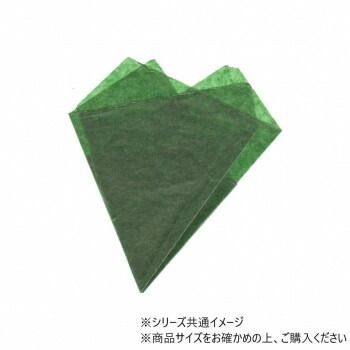 イヨ・スカイ WWE マリーゴールド サイン入りポートレート写真フレーム③