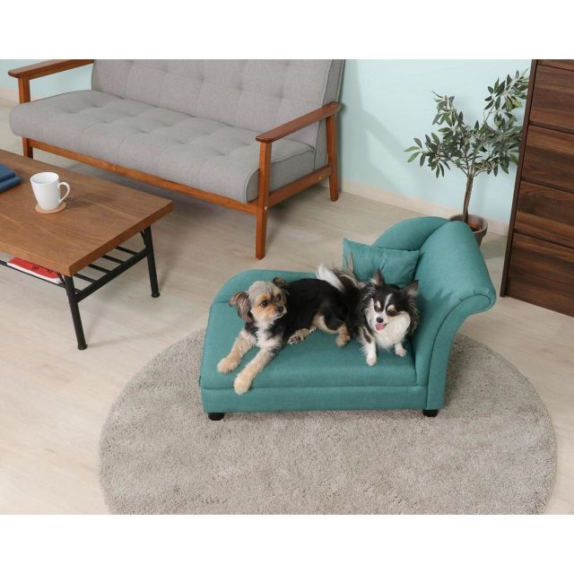 不二貿易 ペットカウチソファ SF-525 GR グリーン クッション付き エレガント 感 ペットベッド ペット家具 インテリア