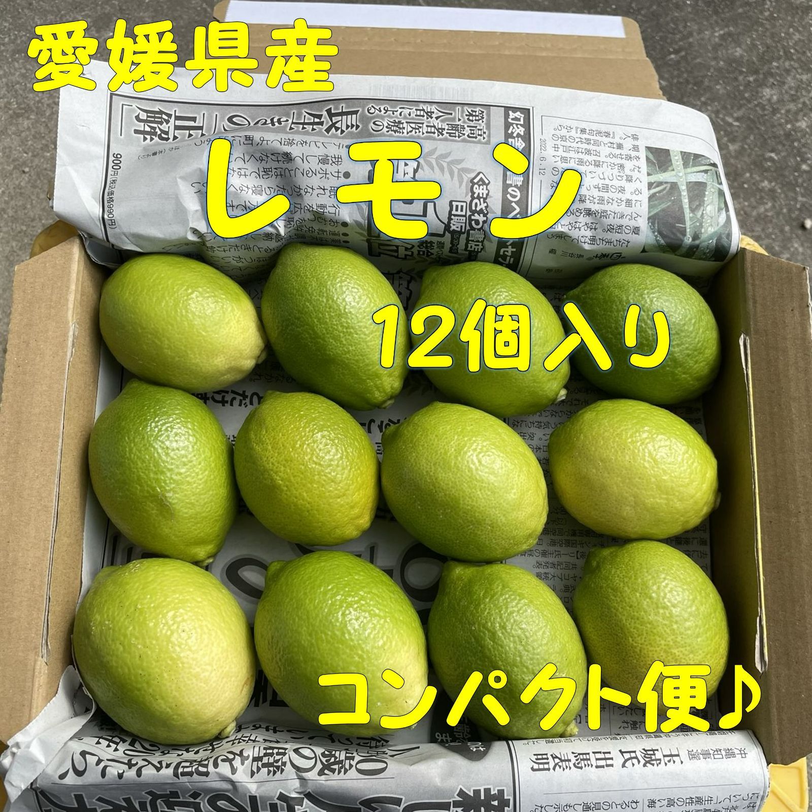 愛媛県産◆12個入り・グリーンレモン コンパクト便♪