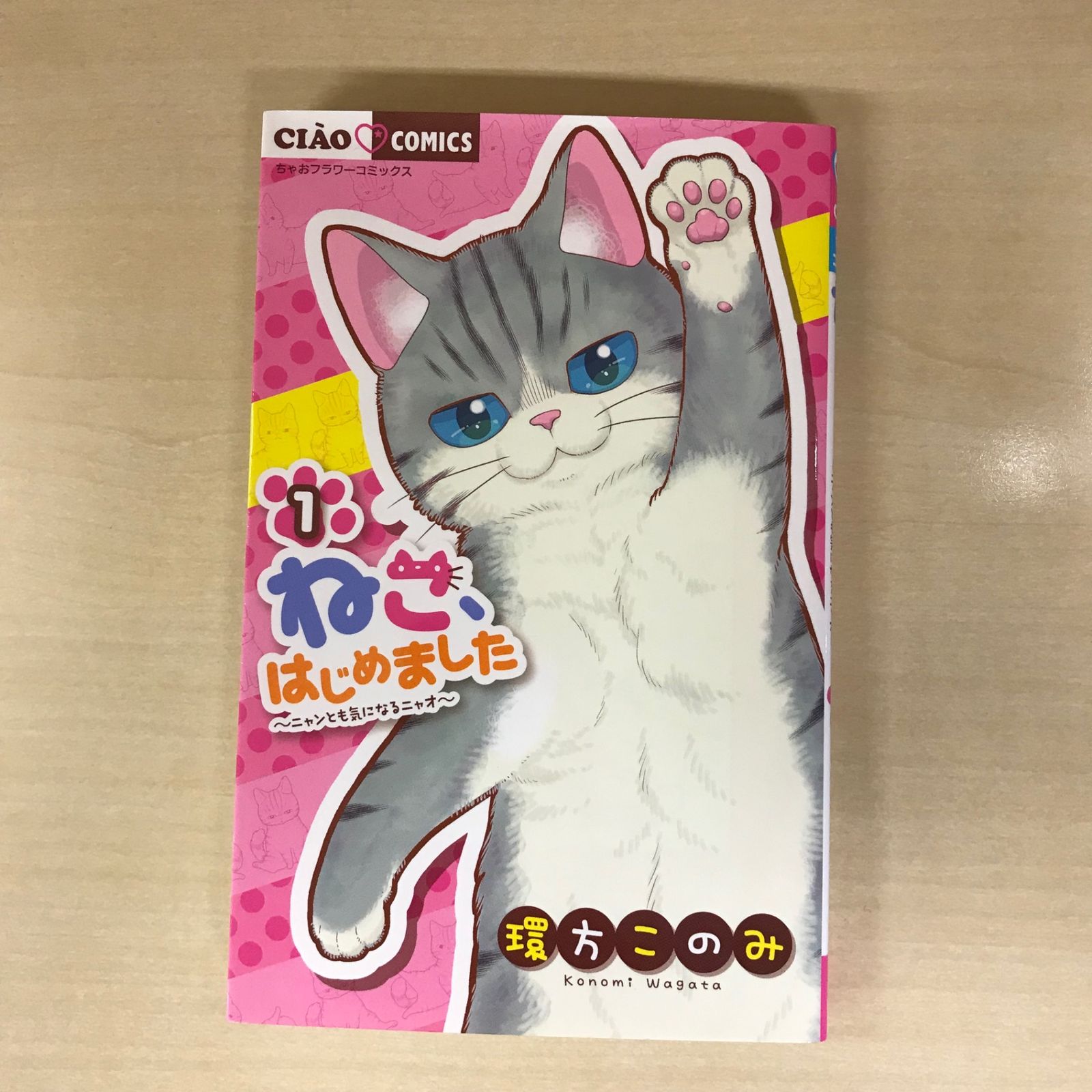 ねこ、はじめました〜ニャンとも気になるニャオ〜 1巻/【作者