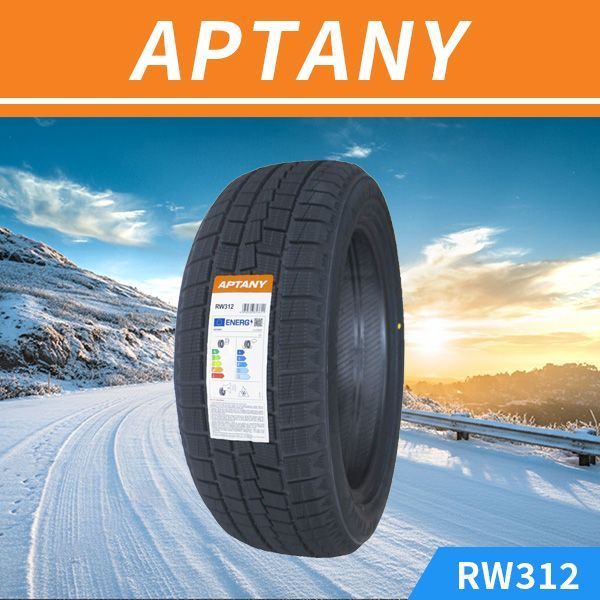 APTANY RW312