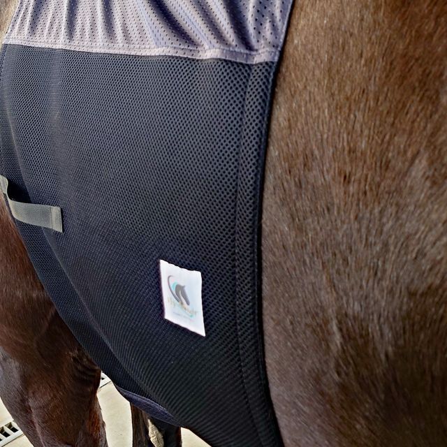 フライアーマースパーガードハード