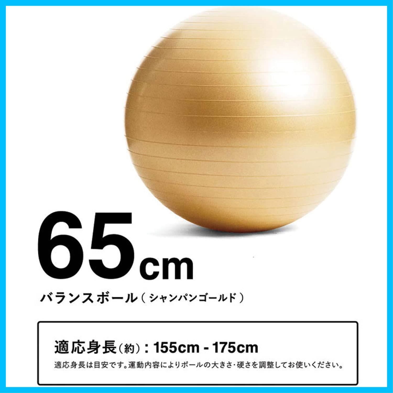 空気入れ付き 75 cm 65 55 メーカー ンスボール La-VIE ラヴィ