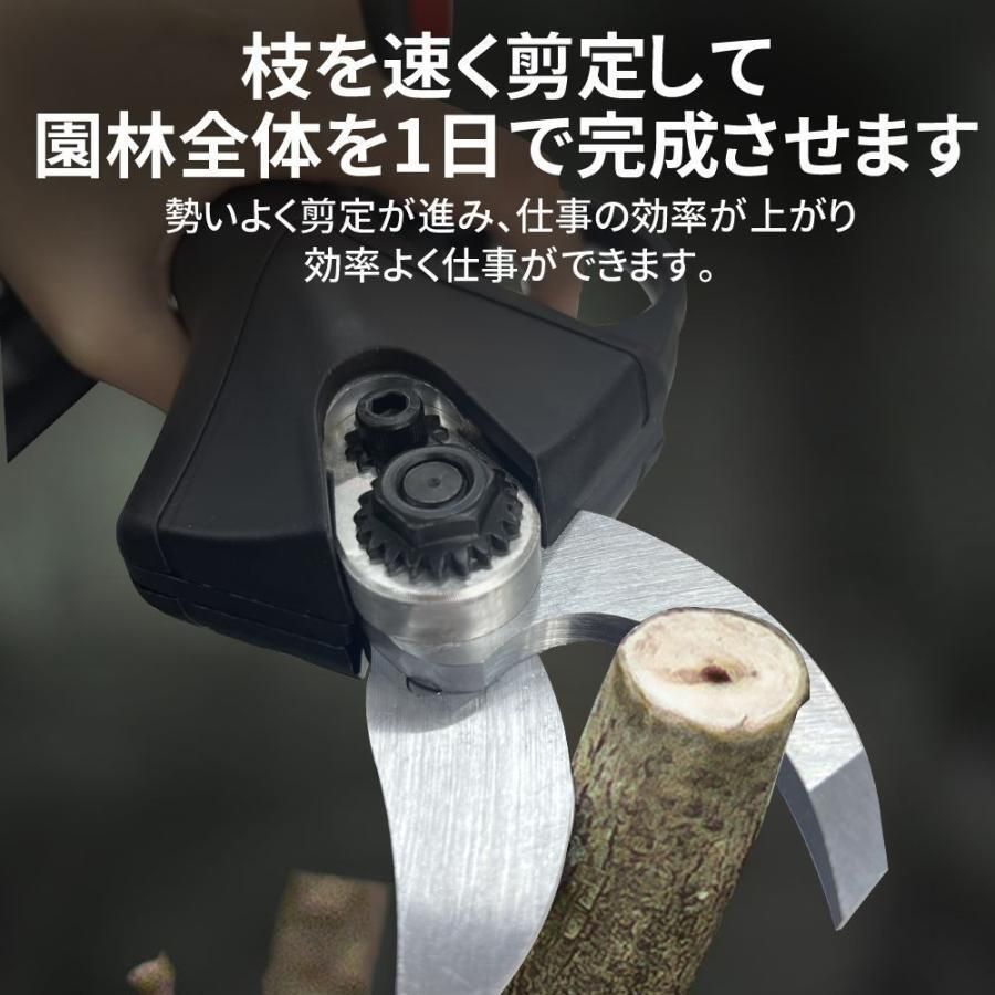 剪定ばさみ 充電式