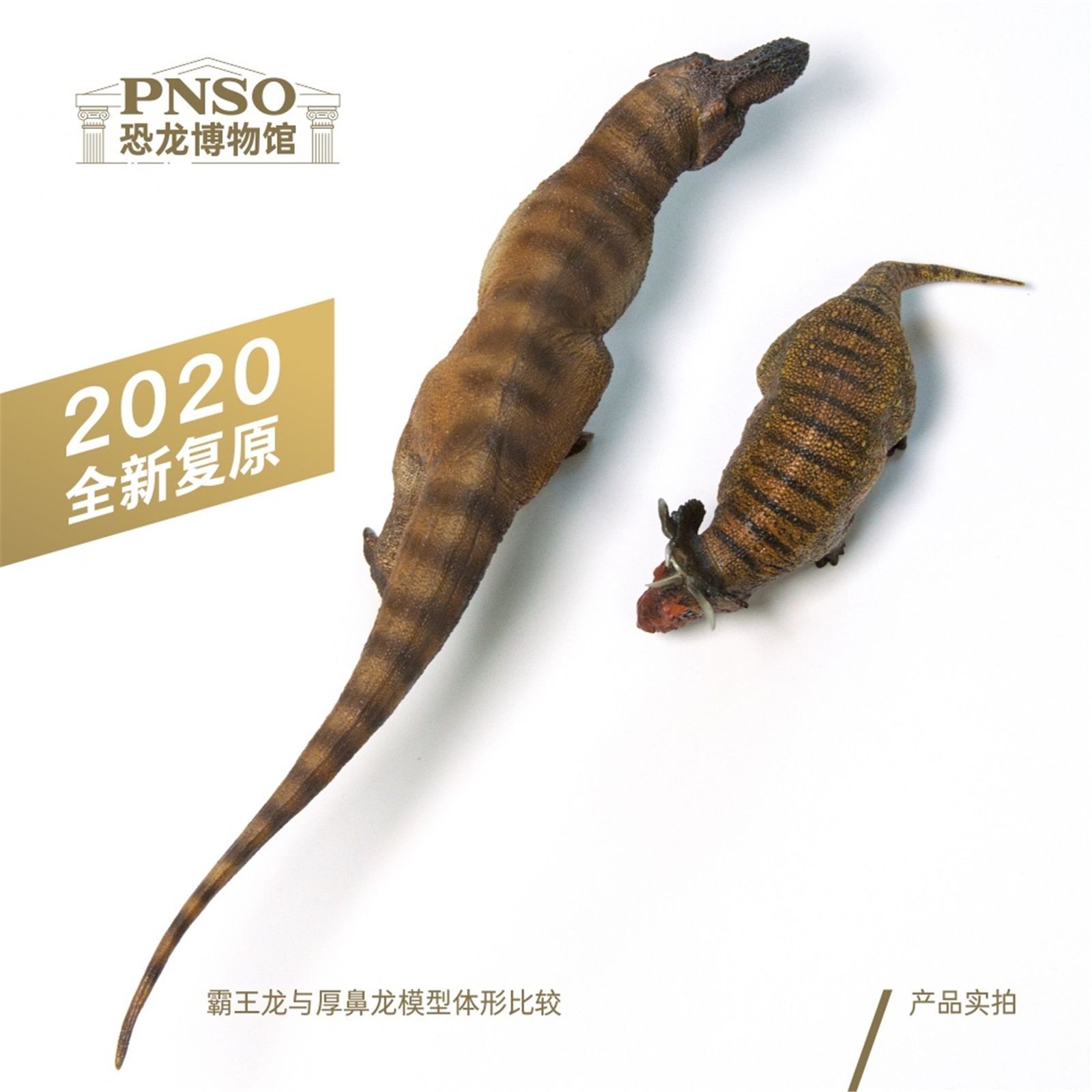 PNSO 恐竜博物館 1/35 サイズ ティラノサウルス T-REX 恐竜 リアル