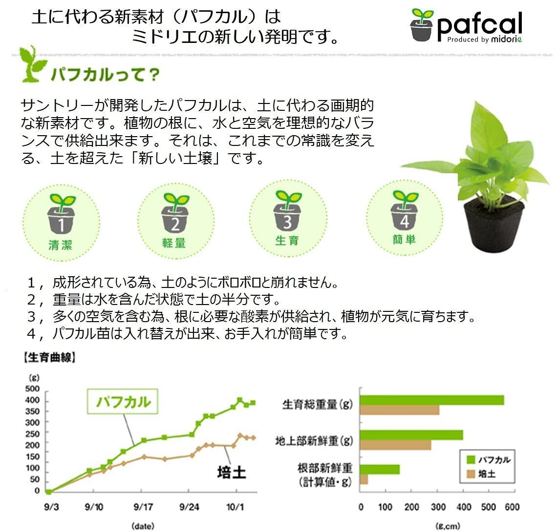 お手入れ簡単 良く育つ