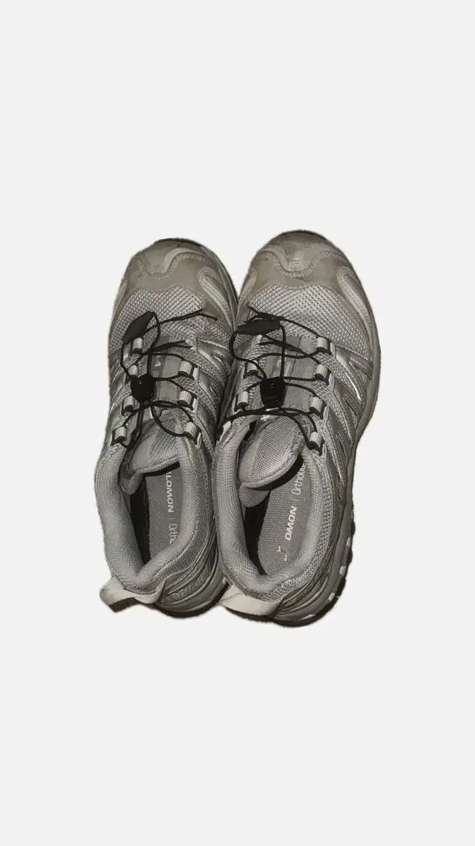 SALOMON サロモン XA プロ 3D アロイ シルバー 250