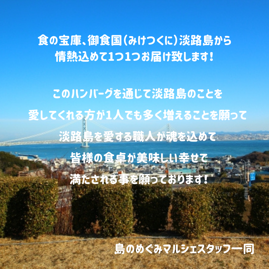 【発送分予約販売】淡路島手作りハンバーグ10個