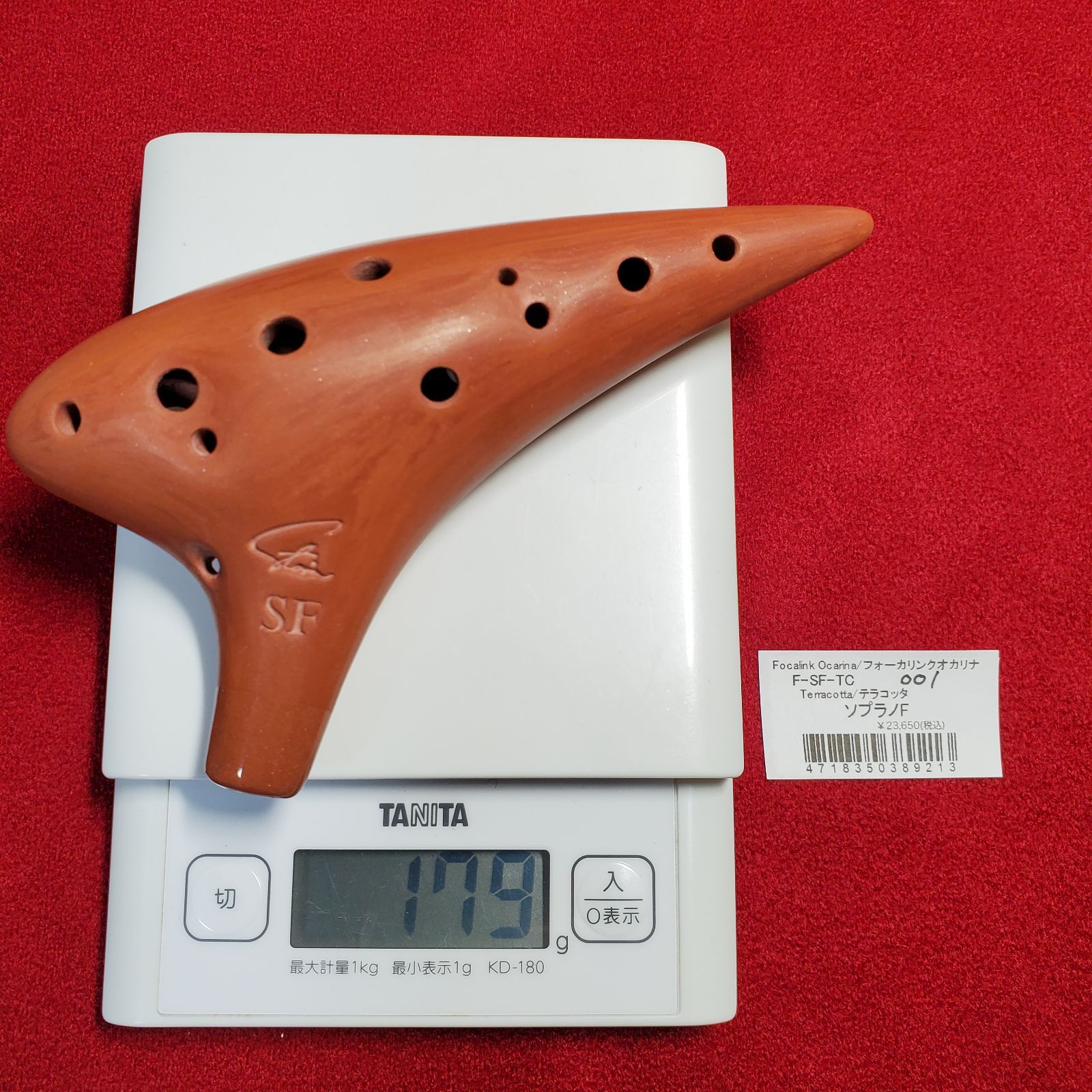 フォーカリンク テラコッタ SF フォーカリンク テラコッタ SF