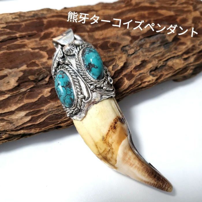 熊牙 ターコイズ シルバー925 ペンダントトップ