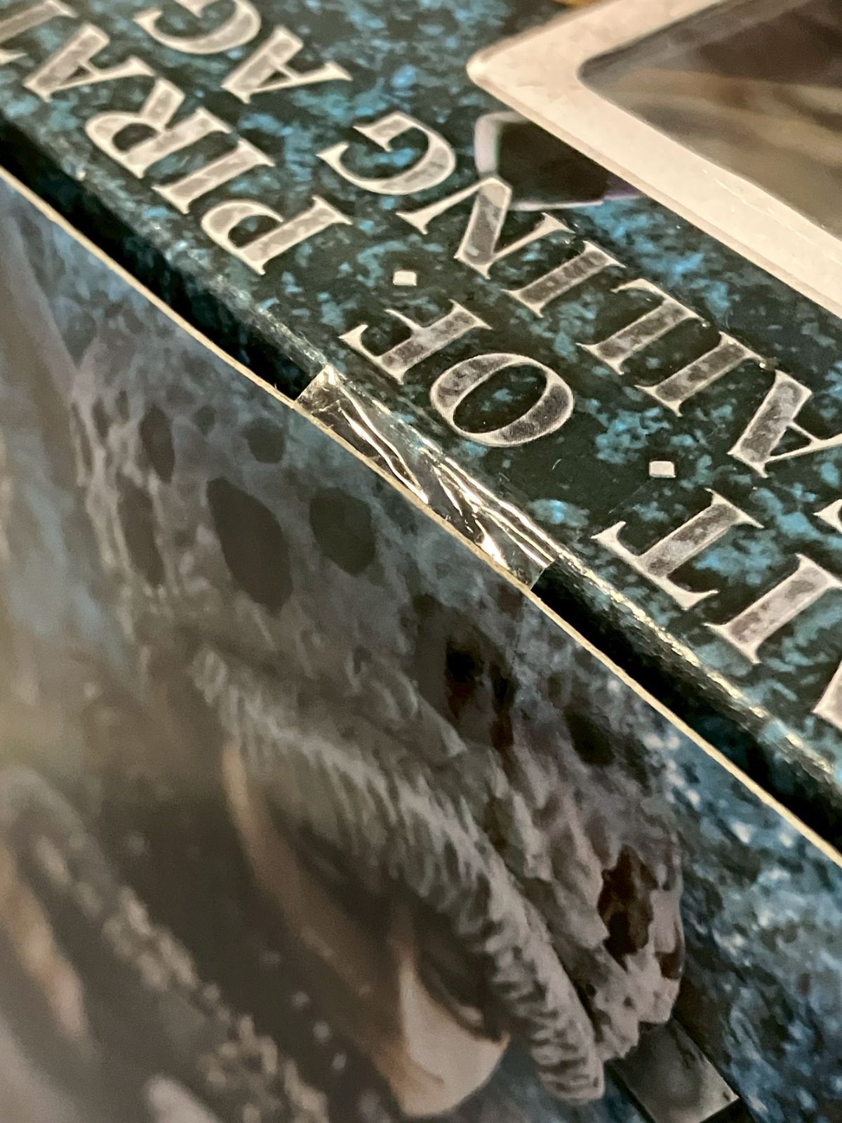 箱ダメージあり