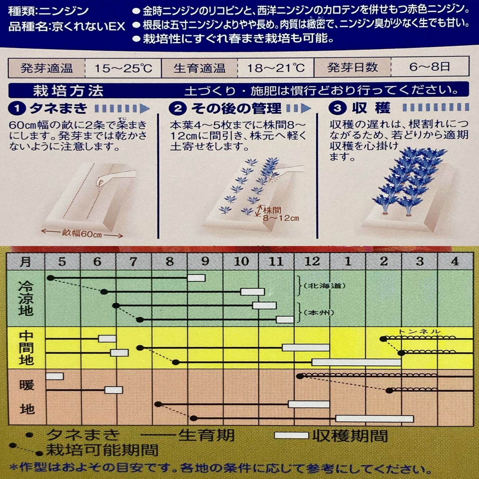 野菜種子 TVF03 京くれないEXニンジン 11粒 x 2個