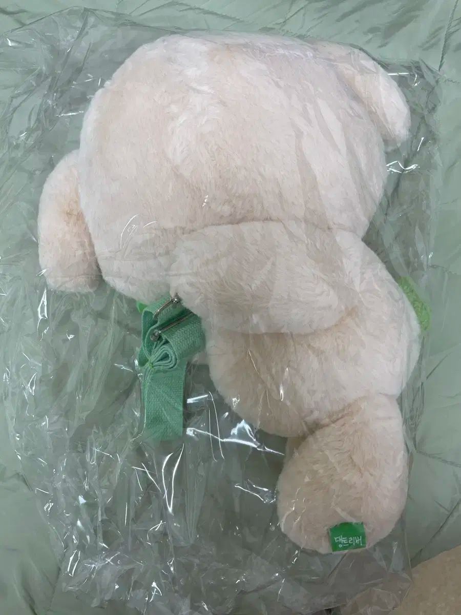 フォトカード 付き