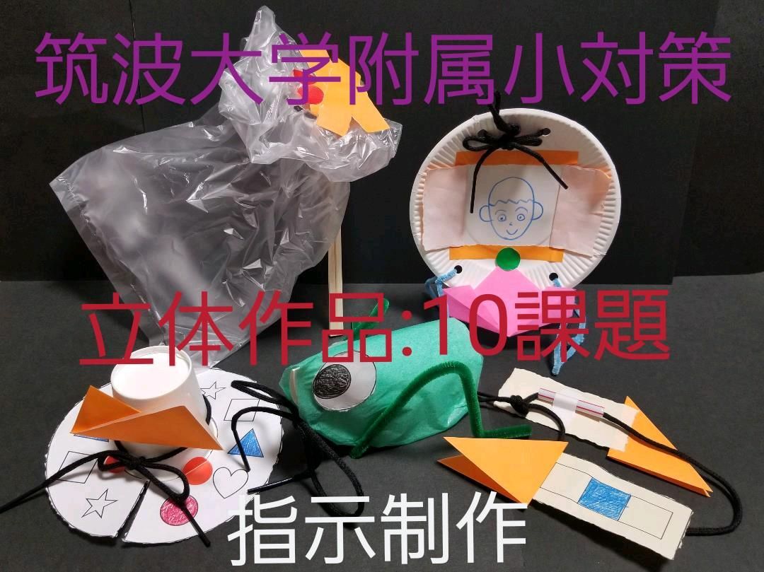 DVD付　筑波大学附属小学校　対策　制作（立体）