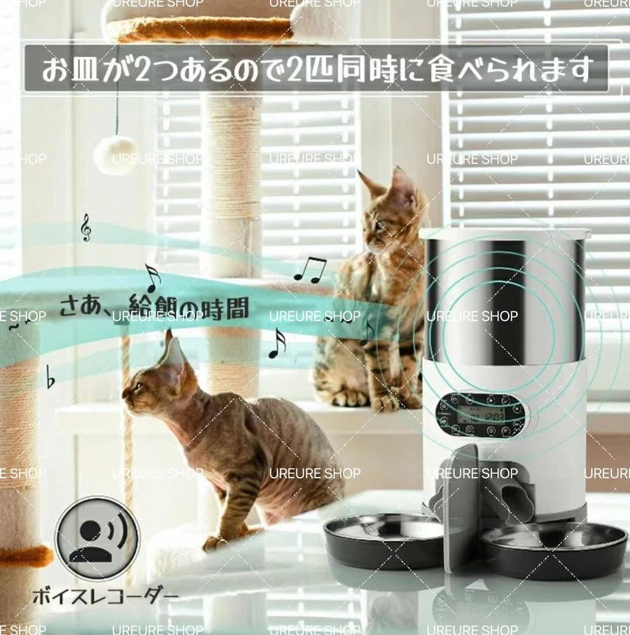 自動給餌器 自動餌やり機 多頭飼い 猫 多頭 2WAY 2食 スマホ 留守番 タイマー 自動 録音機能付 給餌器 ペット給餌器 エサやり機 エサ ステンレス製トレ2個