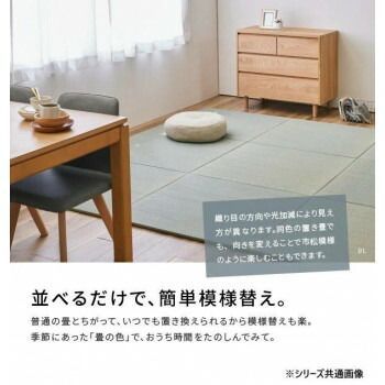 6枚入