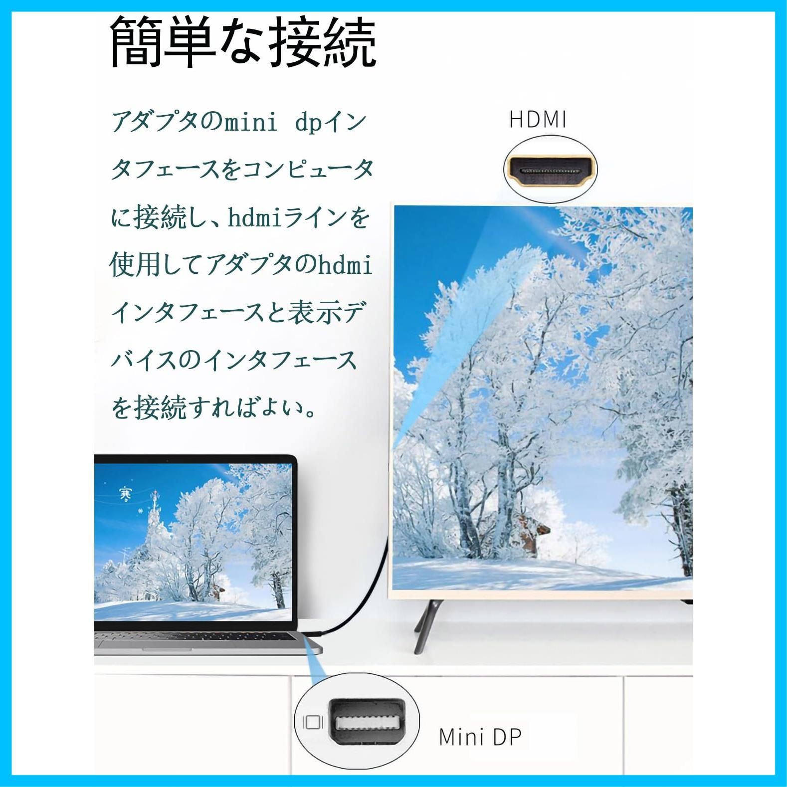 DisplayPort