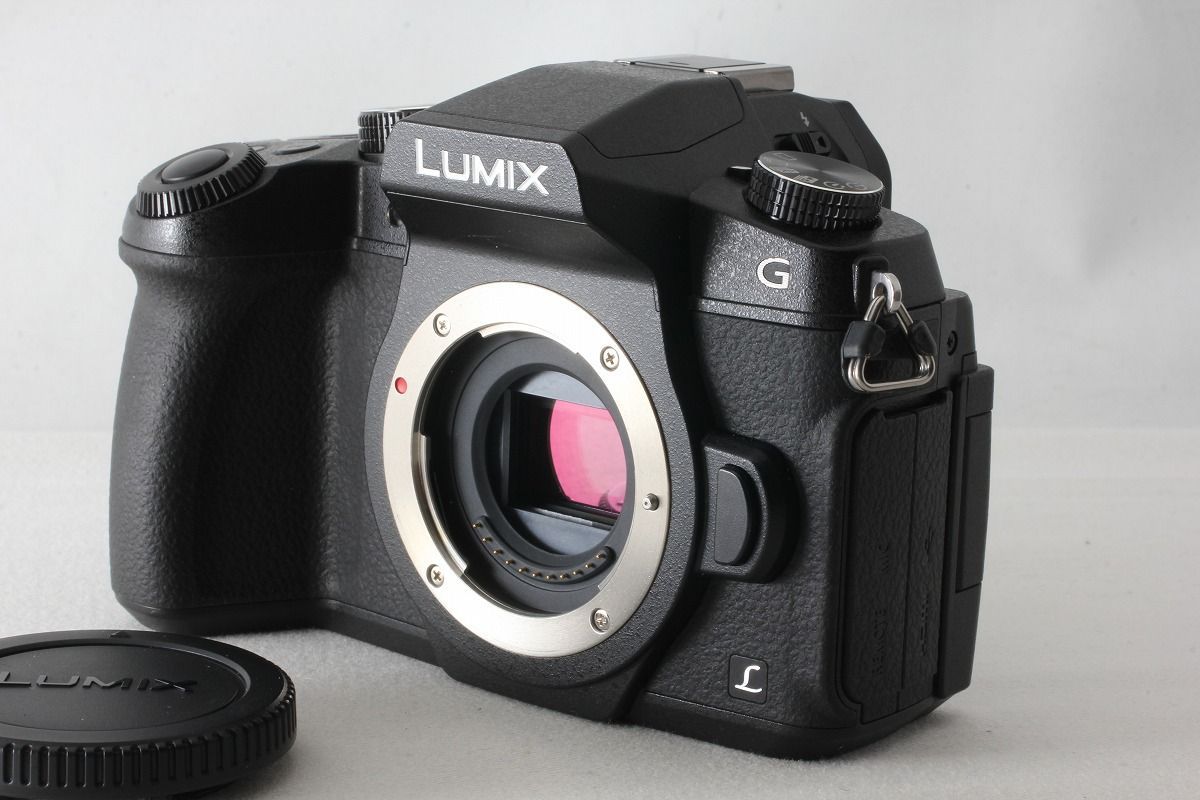 Panasonic パナソニック LUMIX DMC G 8 ボディ ブラック 満載 元箱 48663