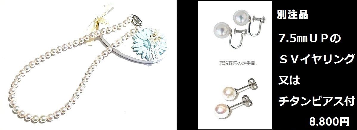 破格値にて特売 首元にさりげない輝きを！ 人気のサイズ 照り巻きの 