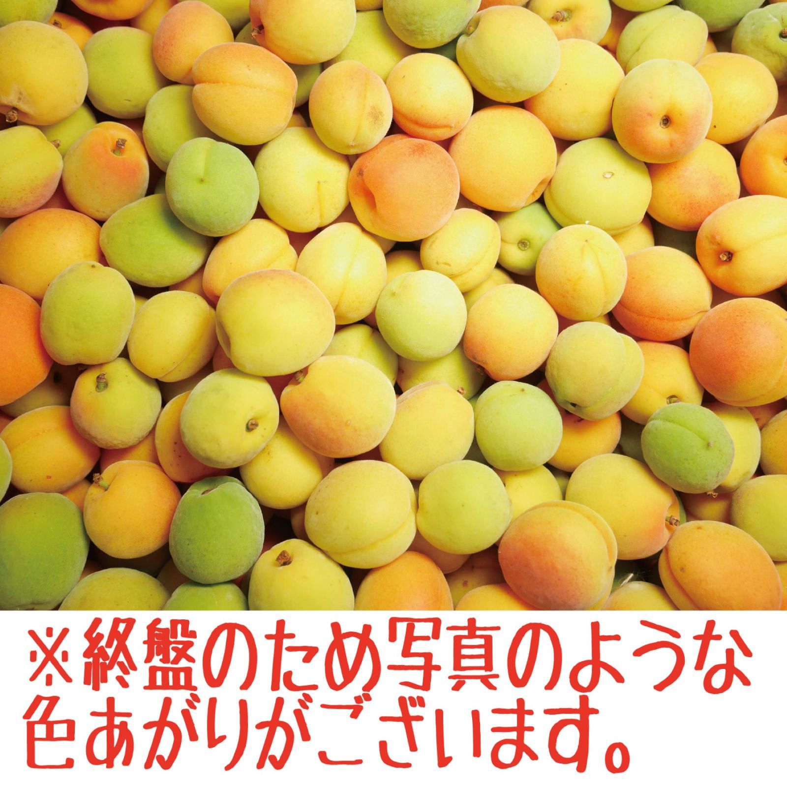 愛知県産 梅 15キロ 6月収穫後発送 クール便 クール便込み 青森県産 完熟 梅 豊後2kg 送料無料！ - メルカリ