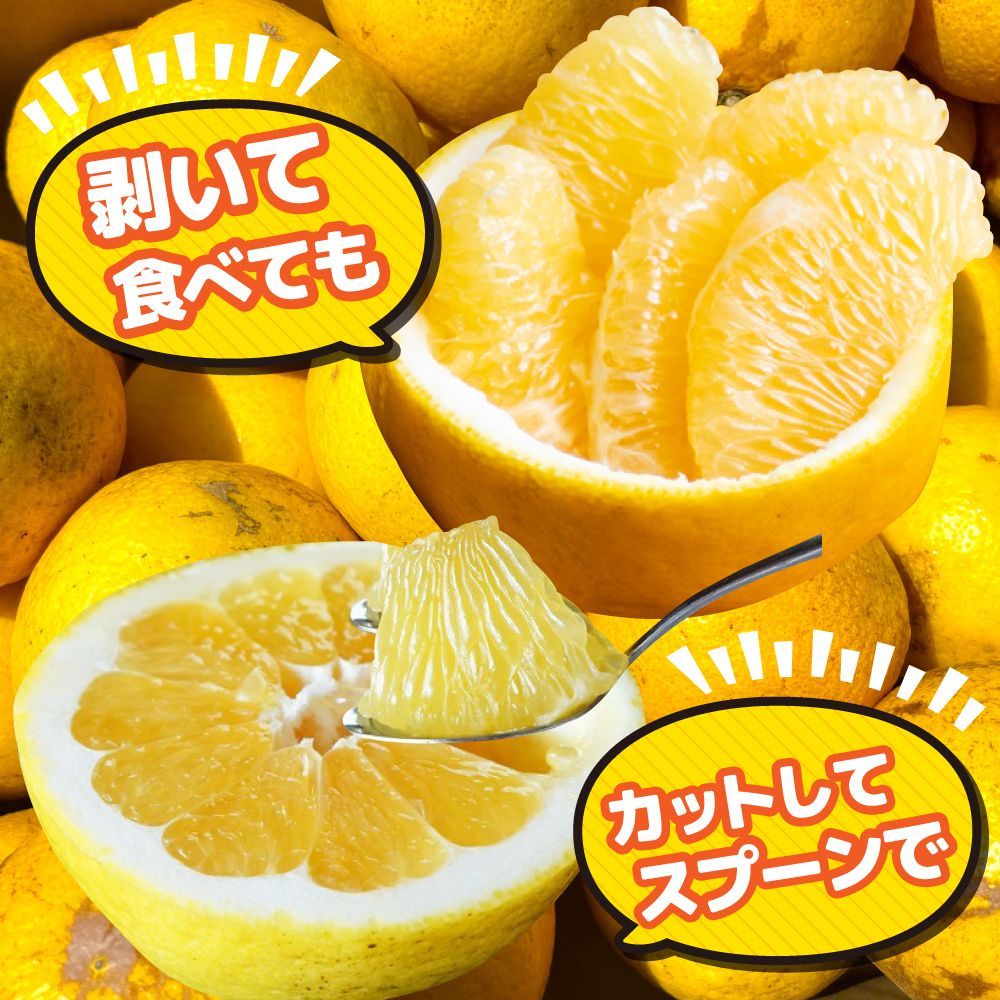 のサムネイル